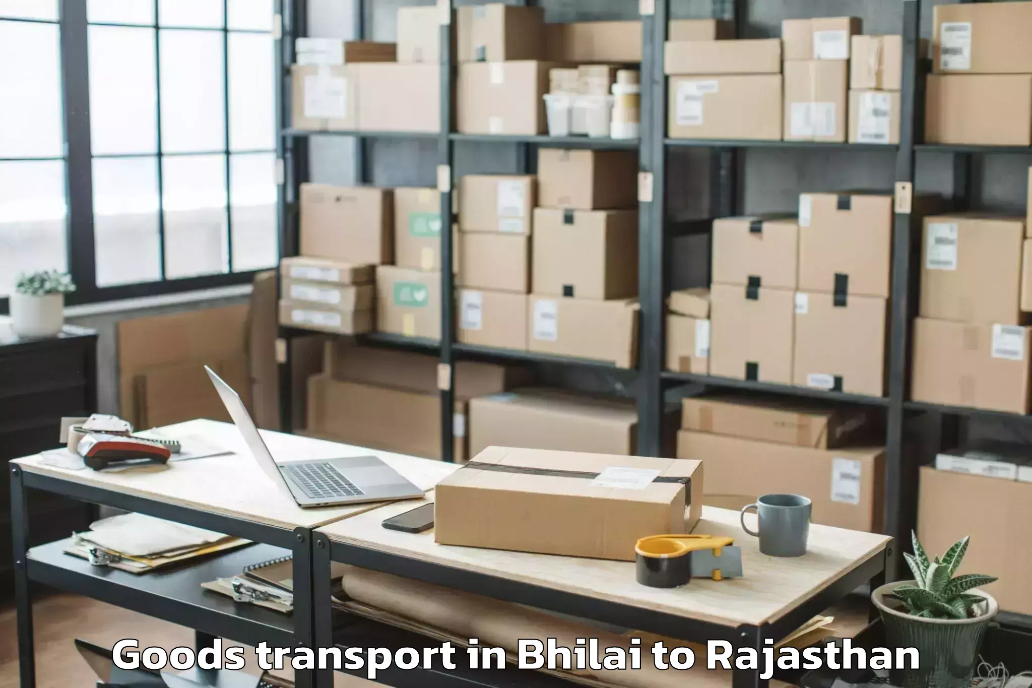 Reliable Bhilai to Ratangarh Churu Goods Transport